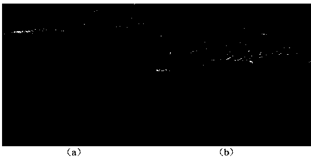 Carbon nanotube-based biomimetic material with micro-nano branch structure and preparation method for same