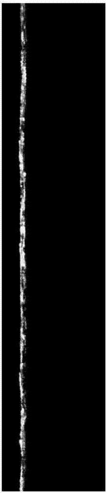 Raw silk or soaked silk appearance quality detection device and detection method based on binocular vision
