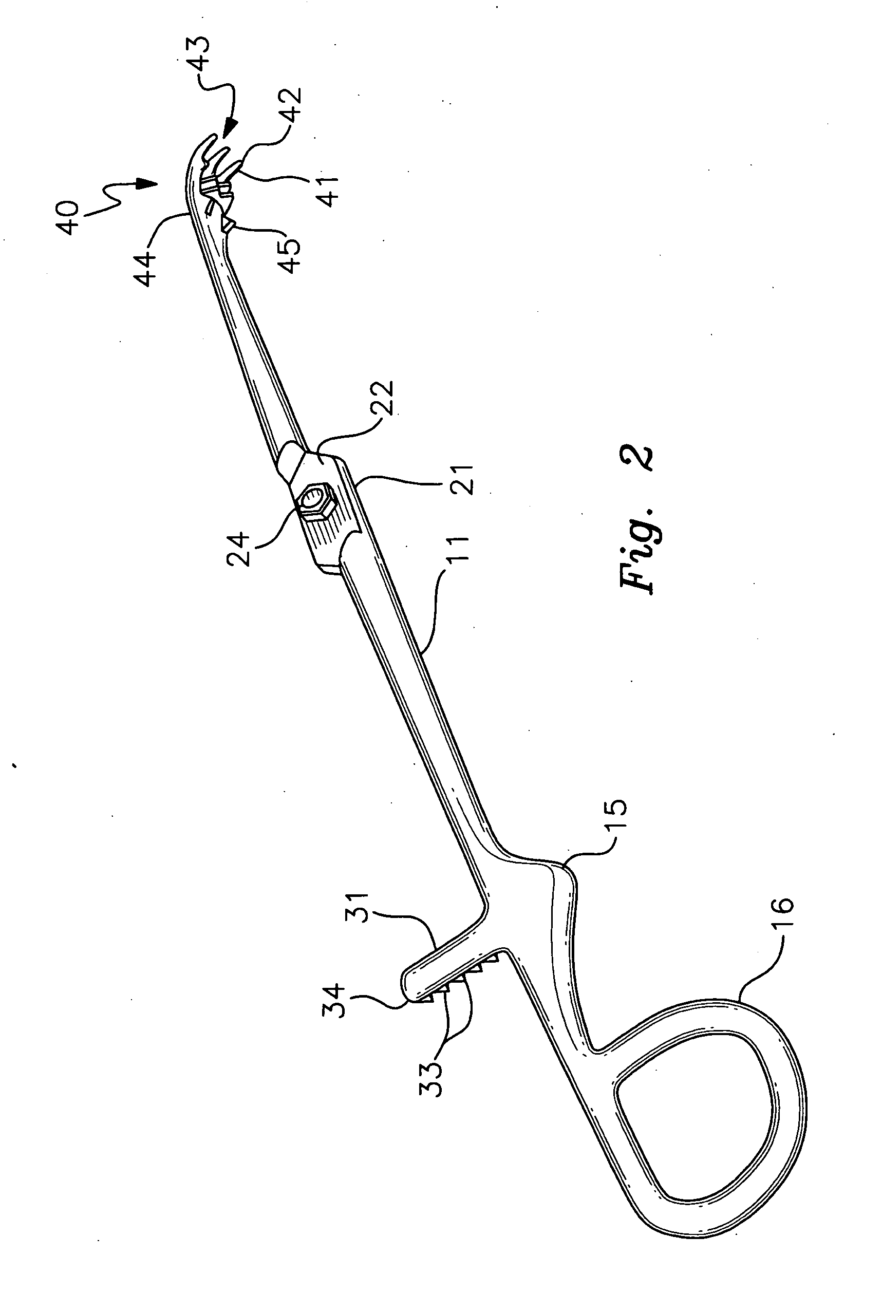 Tonsil forceps