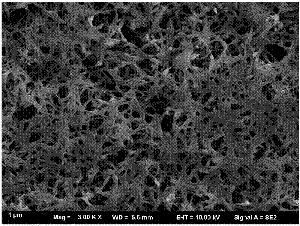 Lithium-ion imprinted polyvinylidene fluoride (PVDF) membrane as well as preparation method and application of lithium-ion imprinted PVDF membrane