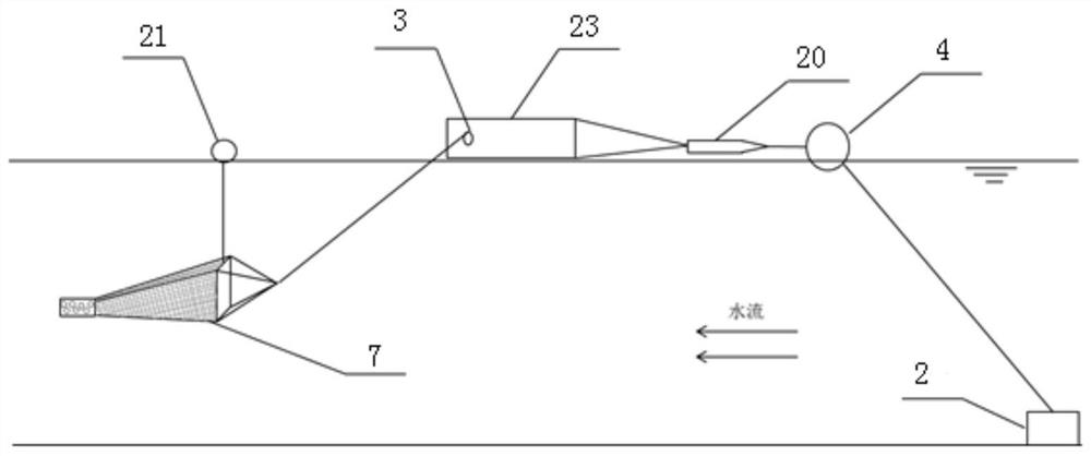 Fish sample collecting device