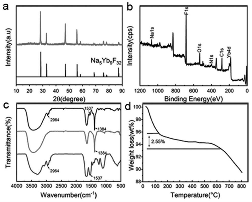 Rare earth fluoride hybrid nanoflower and preparation method thereof