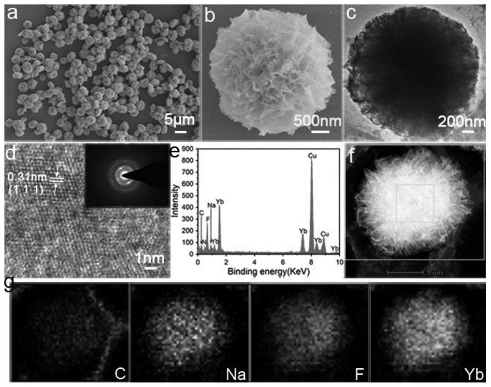 Rare earth fluoride hybrid nanoflower and preparation method thereof