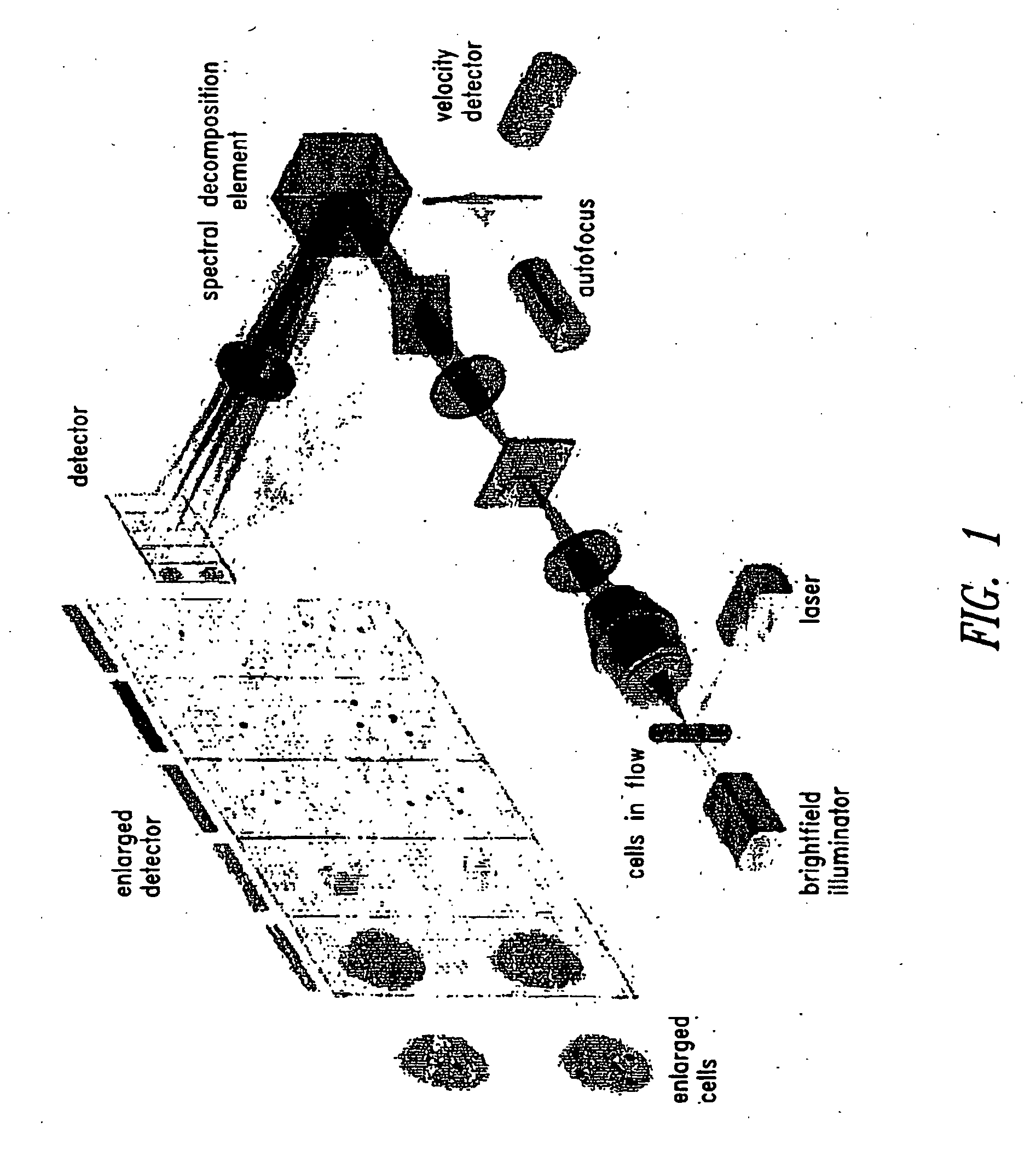 Method For Imaging And Differential Analysis Of Cells