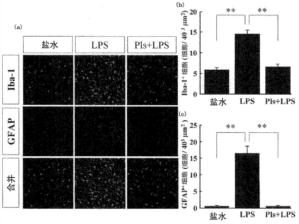 Drug against central nervous system inflammation