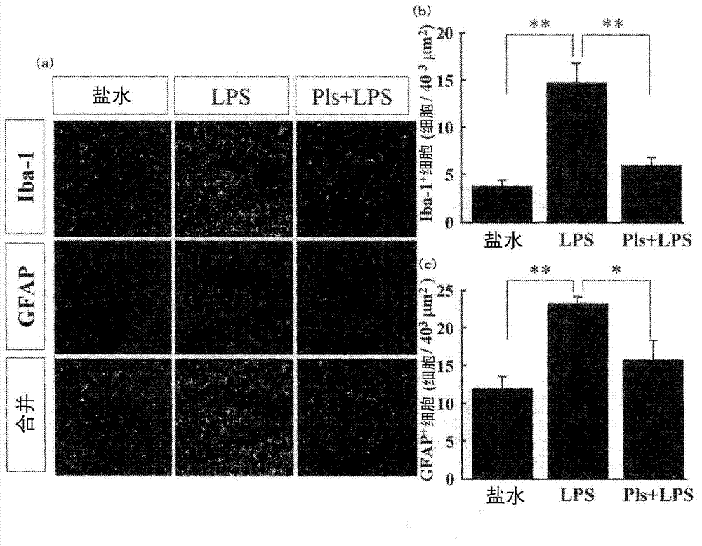 Drug against central nervous system inflammation