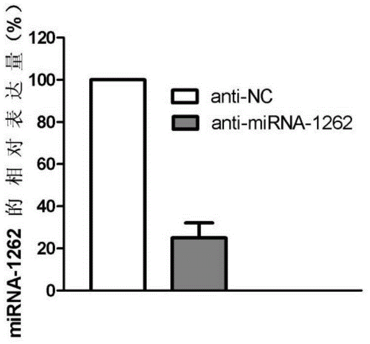 Acute myelogenous leukemia miRNA marker