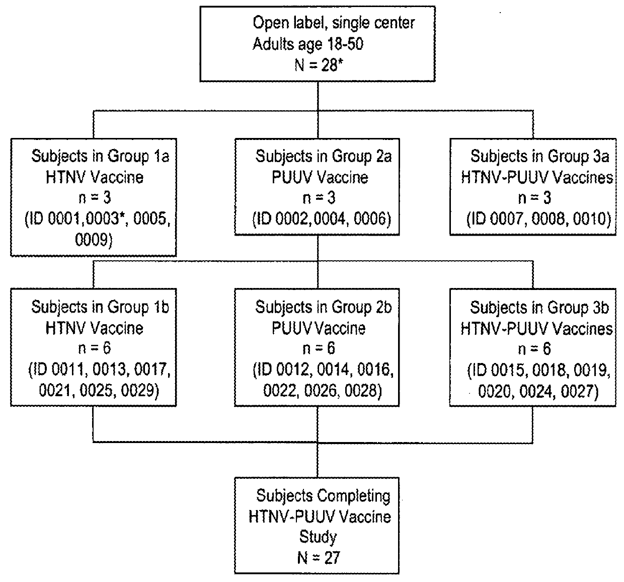 Gene optimized hantaan virus M segment DNA vaccine for hemorrhagic fever with renal syndrome