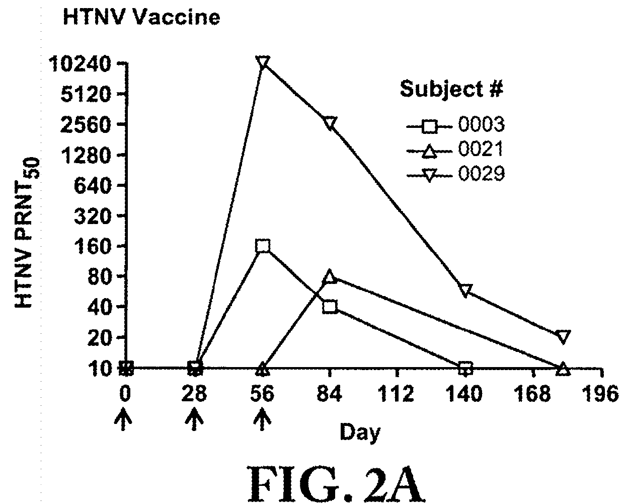 Gene optimized hantaan virus M segment DNA vaccine for hemorrhagic fever with renal syndrome