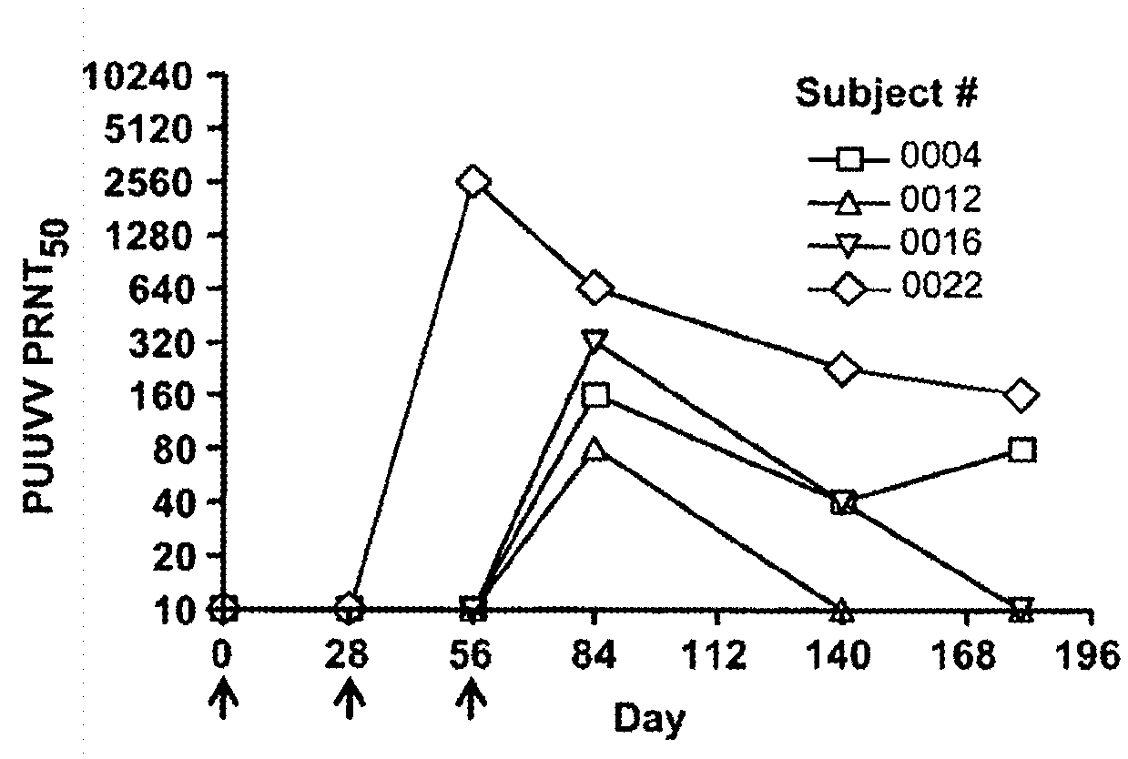 Gene optimized hantaan virus M segment DNA vaccine for hemorrhagic fever with renal syndrome