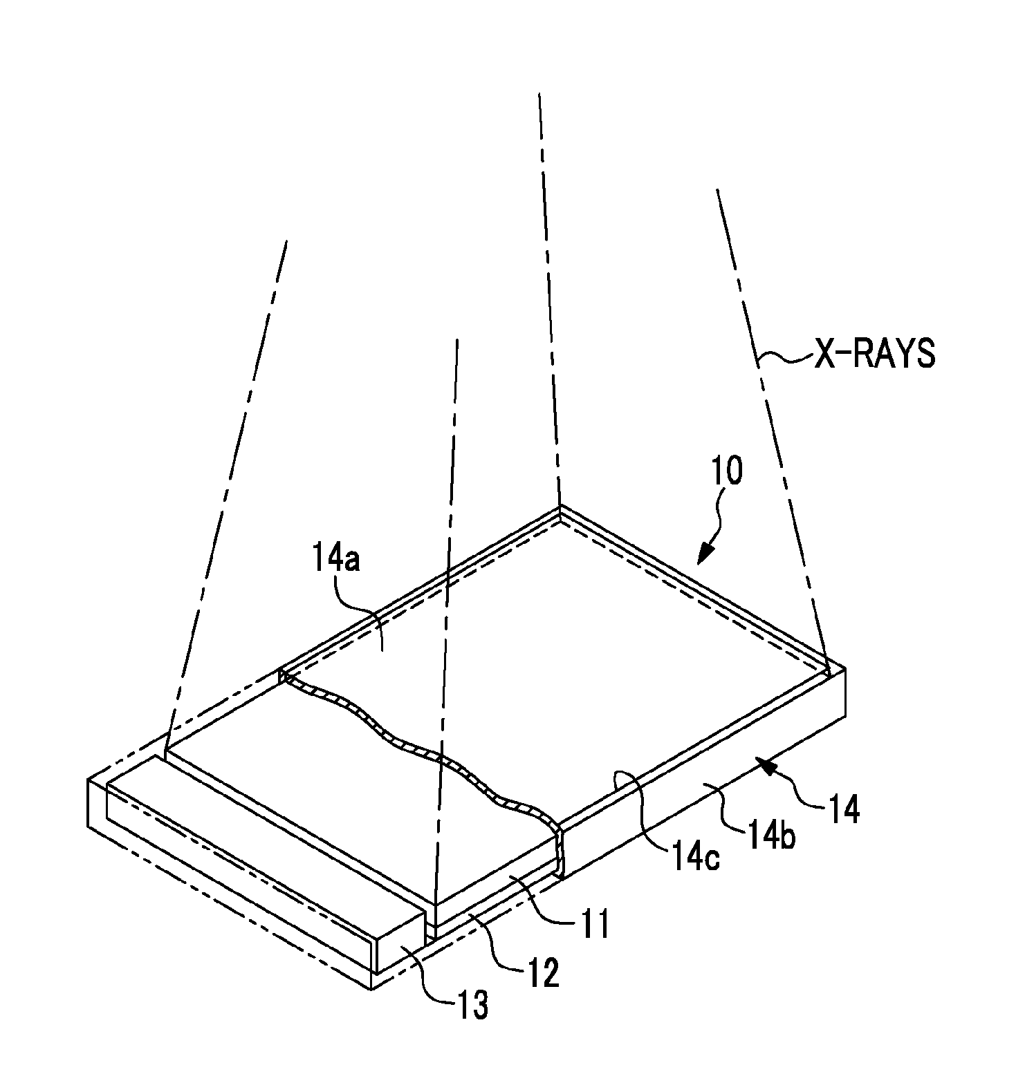 Radiological image detection apparatus