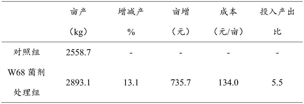 Preparation and application of streptomyces complex microbial inoculant