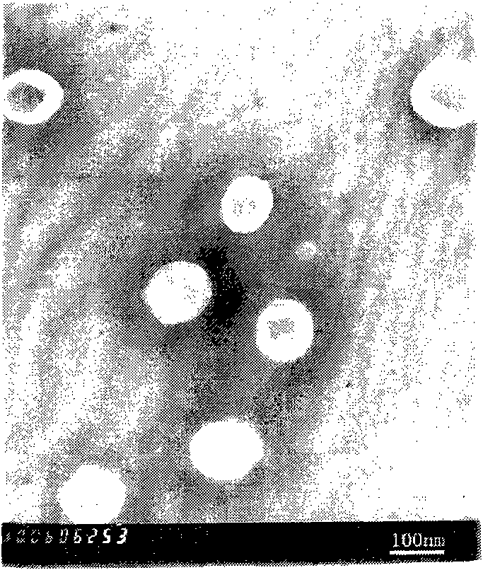 Efficient Gd-loaded liposome preparation and preparation method thereof