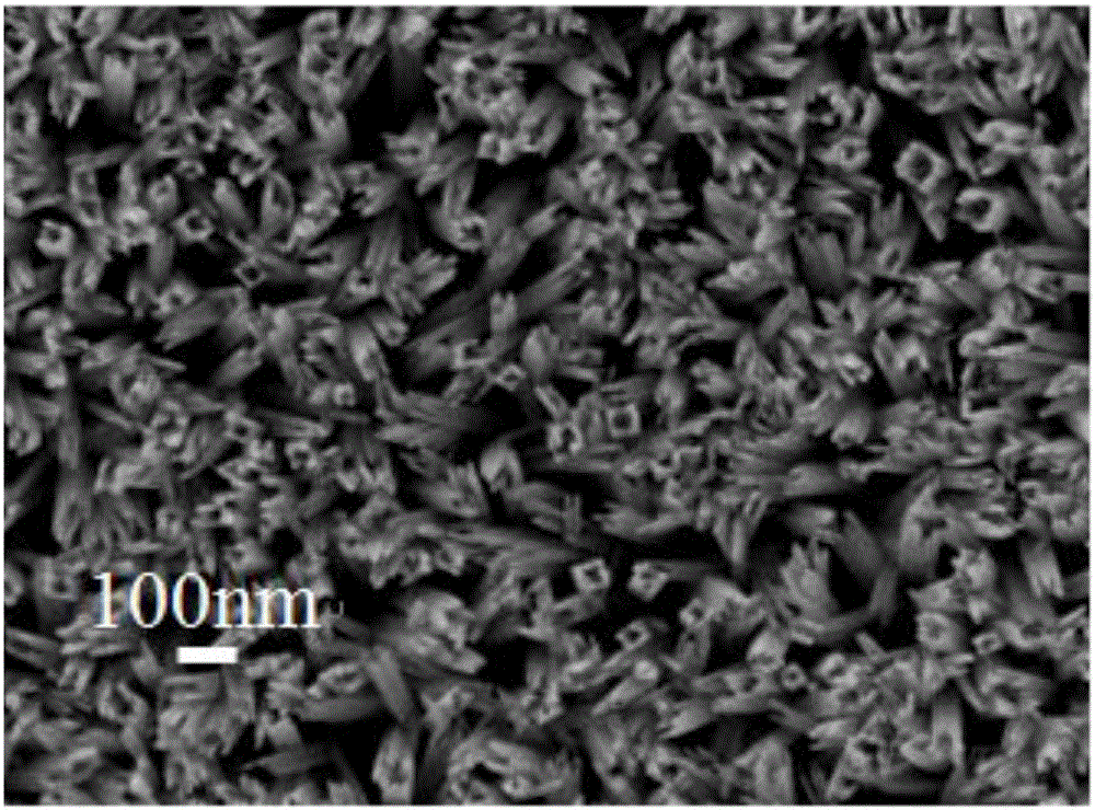 Strontium titanate-titanium dioxide composite nanotube array film and preparation method and application thereof