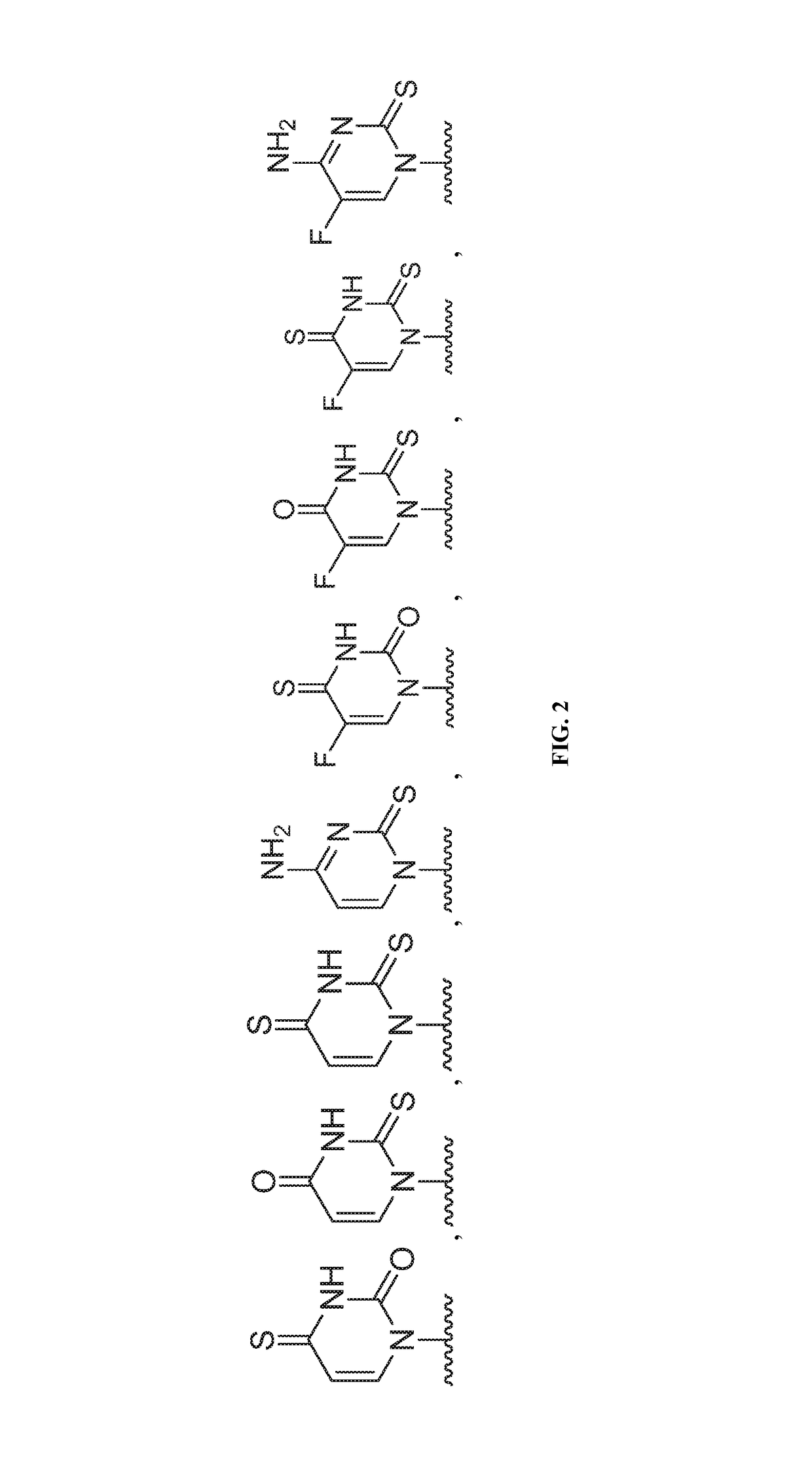 Nucleotide and nucleoside therapeutic compositions and uses related thereto