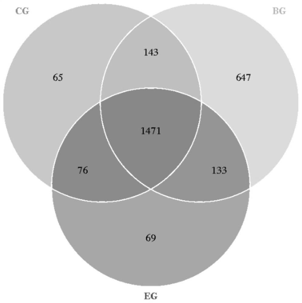 Bovine-derived composite microecological preparation and application