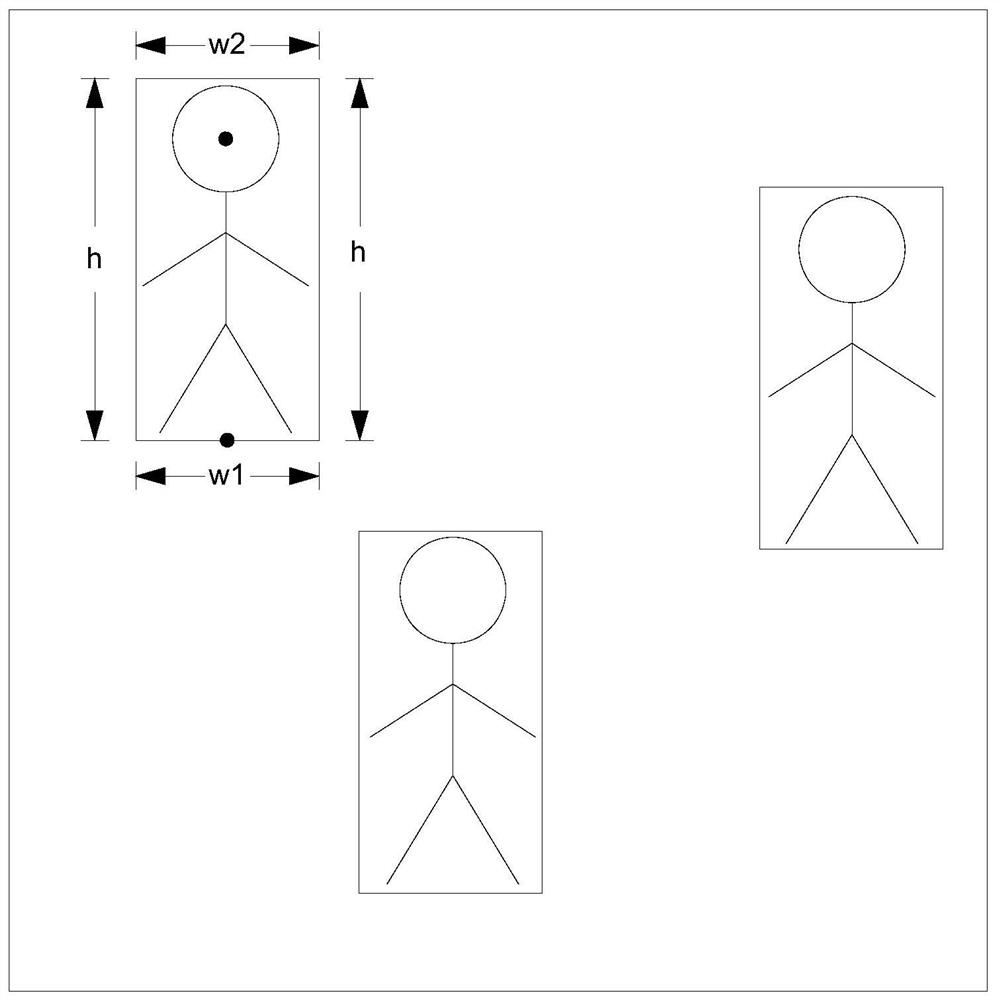 Crowd analysis method and device