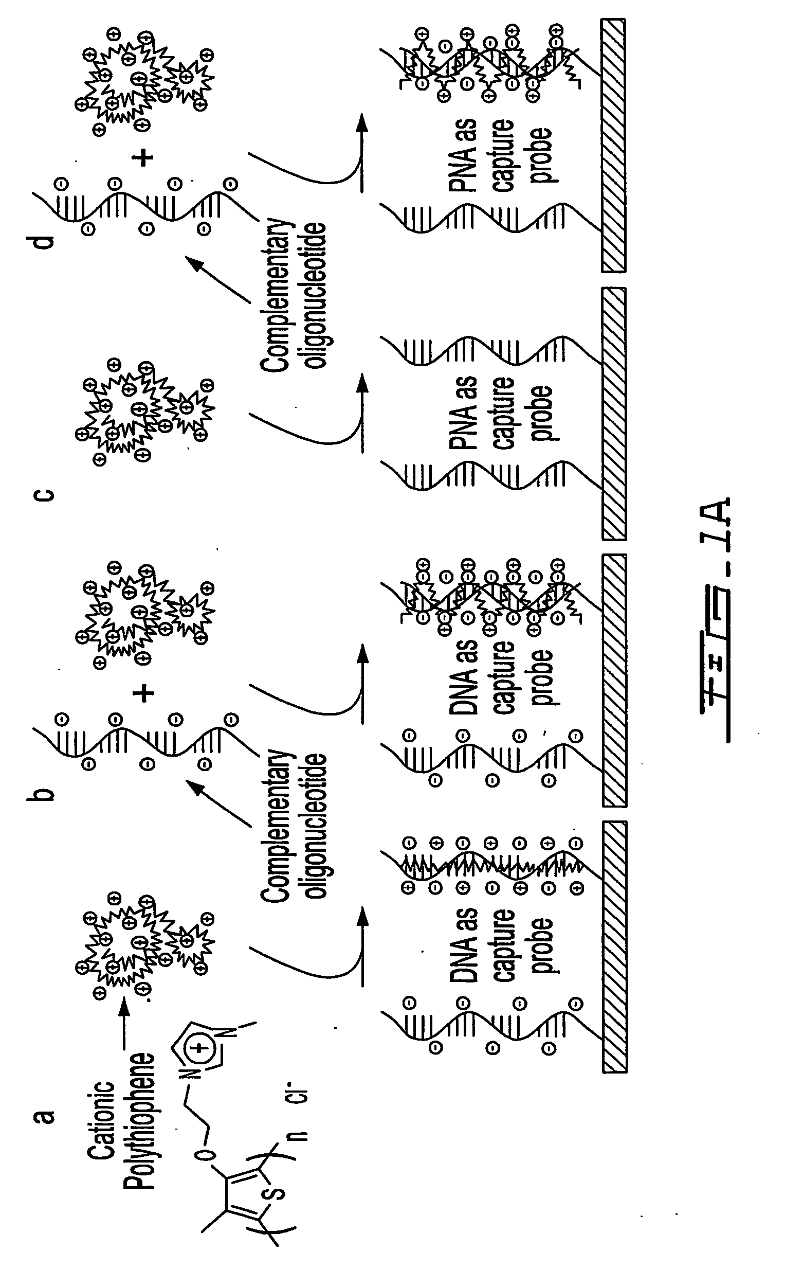 System for charge-based detection of nucleic acids