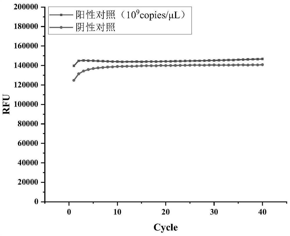 CRISPR-Cas13a isothermal detection primer group for detecting Taura syndrome virus and application of CRISPR-Cas13a isothermal detection primer group