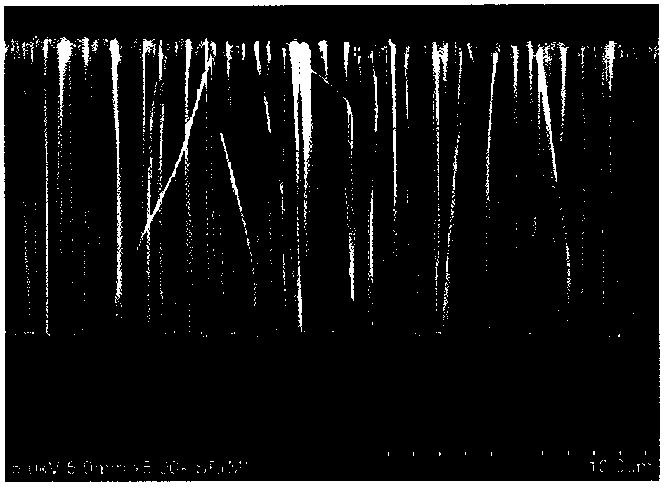 Method for preparing silicon nanostructured material