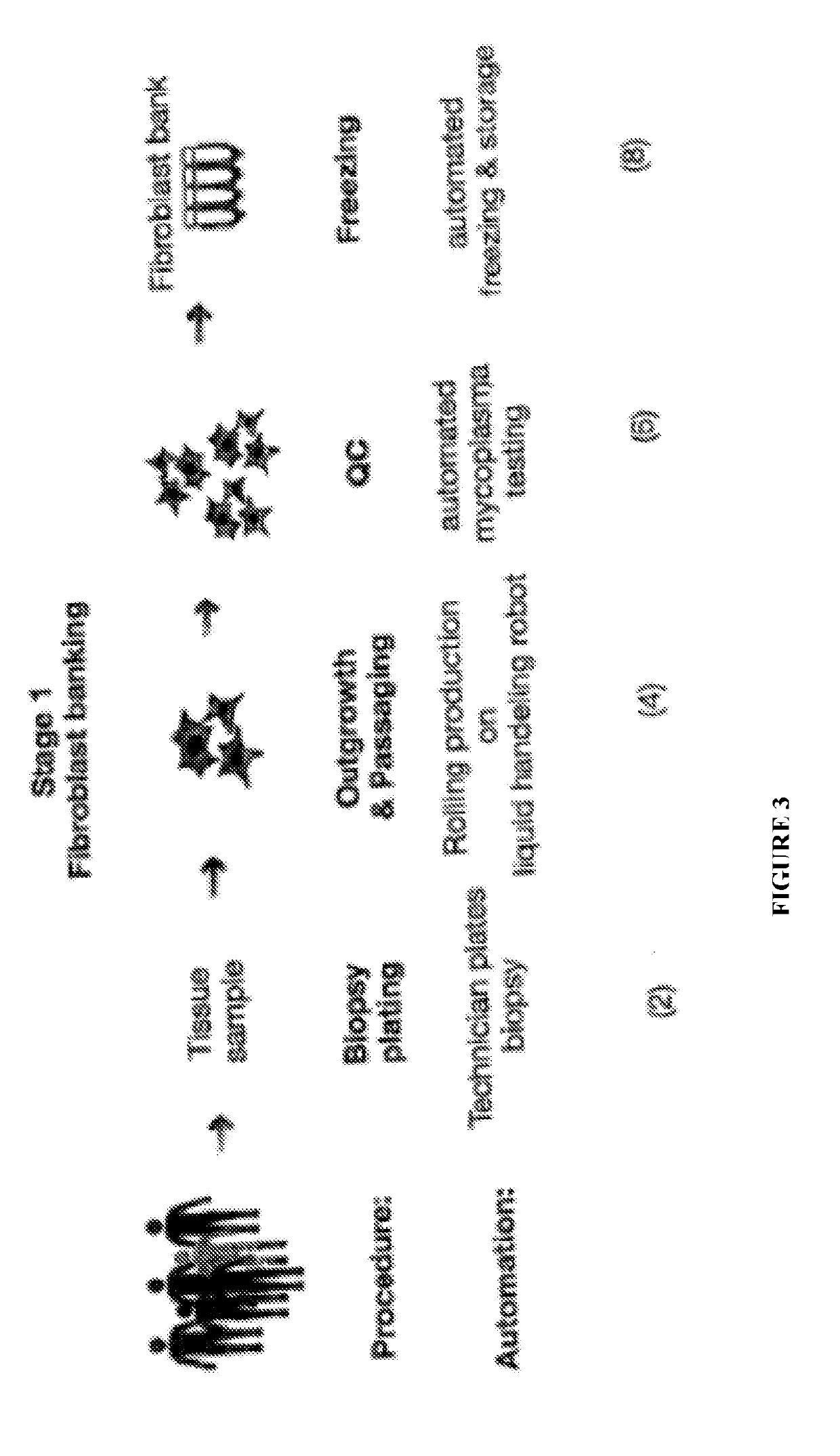 Microfluidic system and method of use thereof