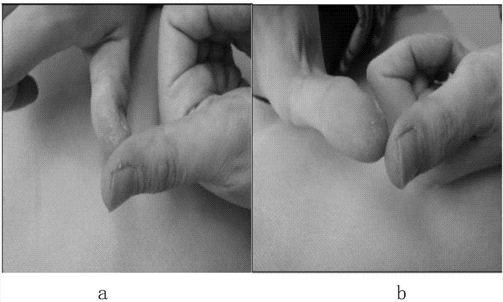 Plant composition with function of improving infant skin barrier and lotion of plant composition