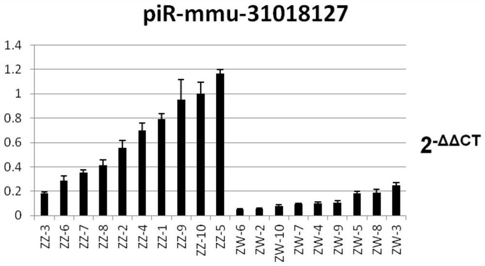 Application of pir-mmu-31018127 exosomes in tongue sole