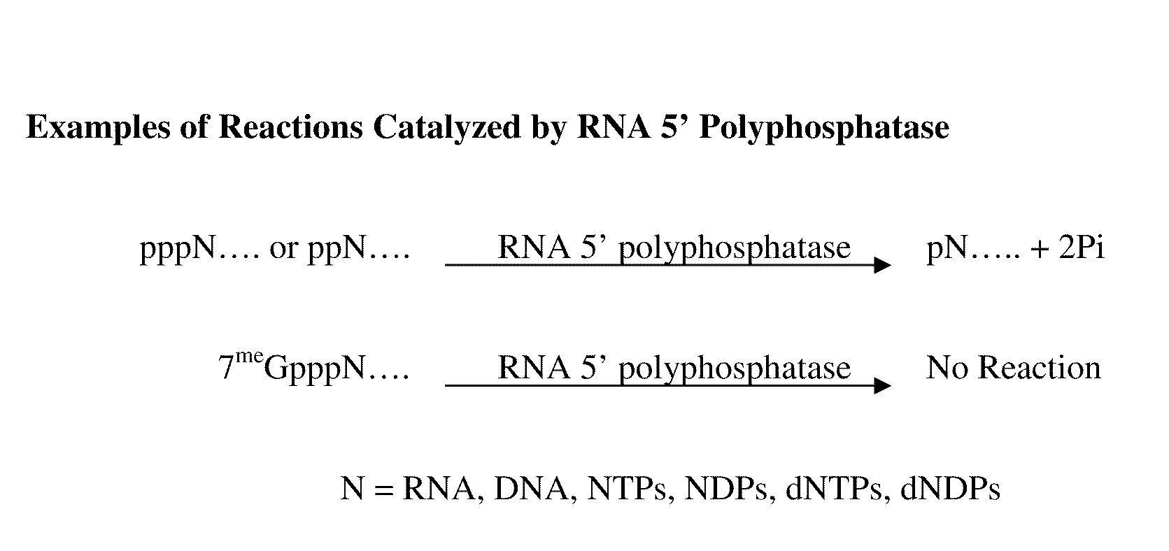 Selective 5′ ligation tagging of RNA