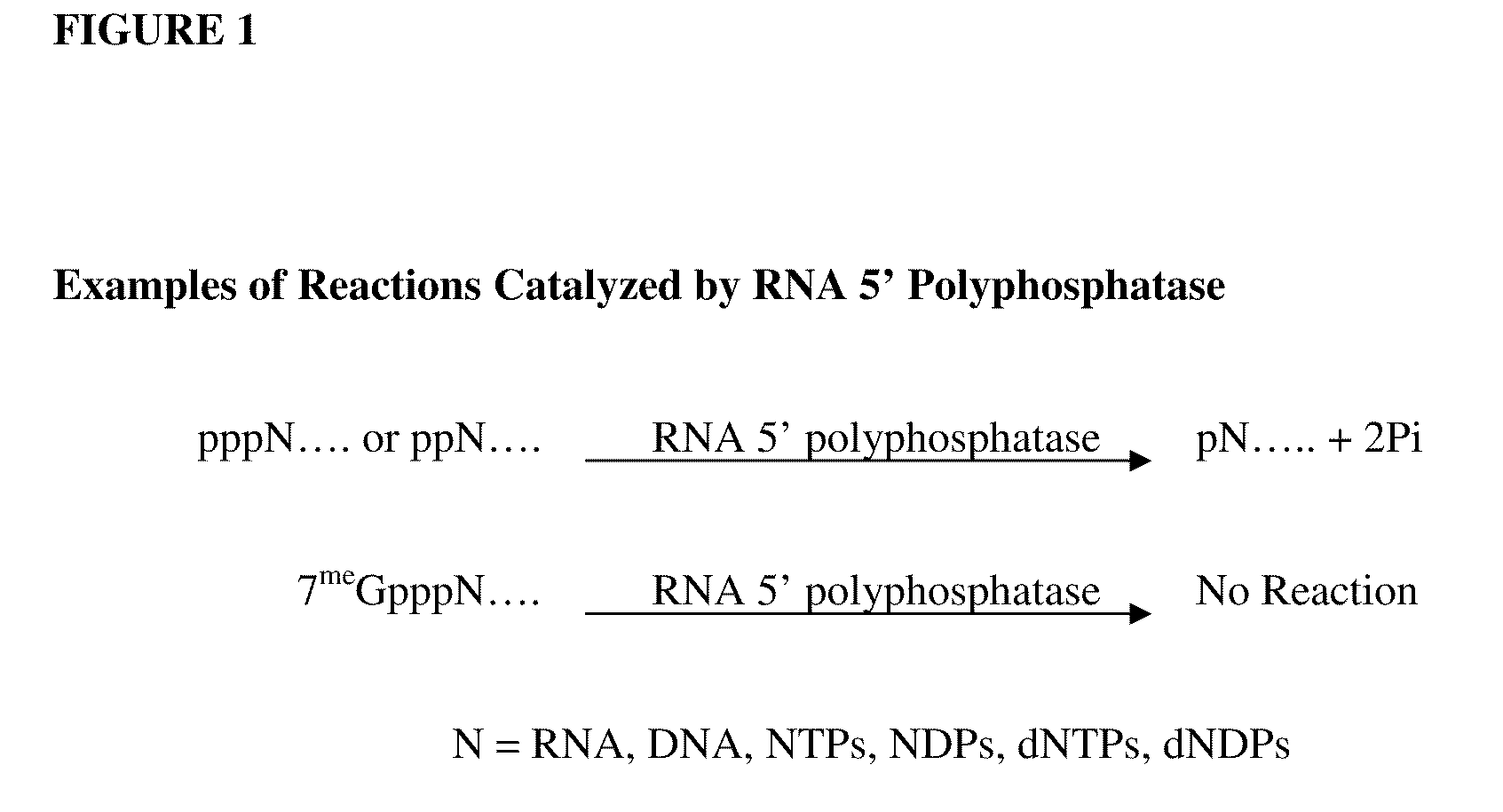 Selective 5′ ligation tagging of RNA