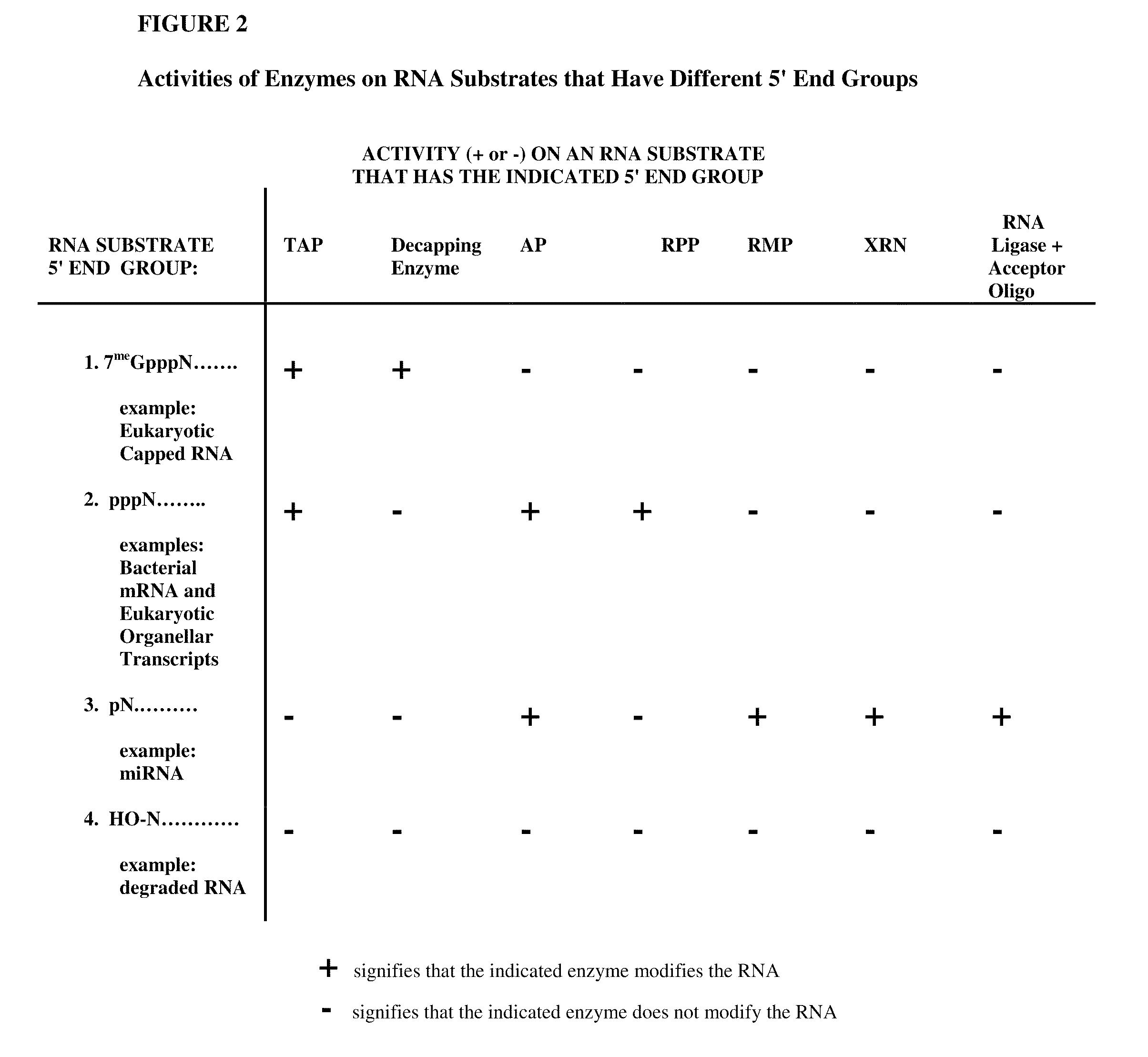 Selective 5′ ligation tagging of RNA