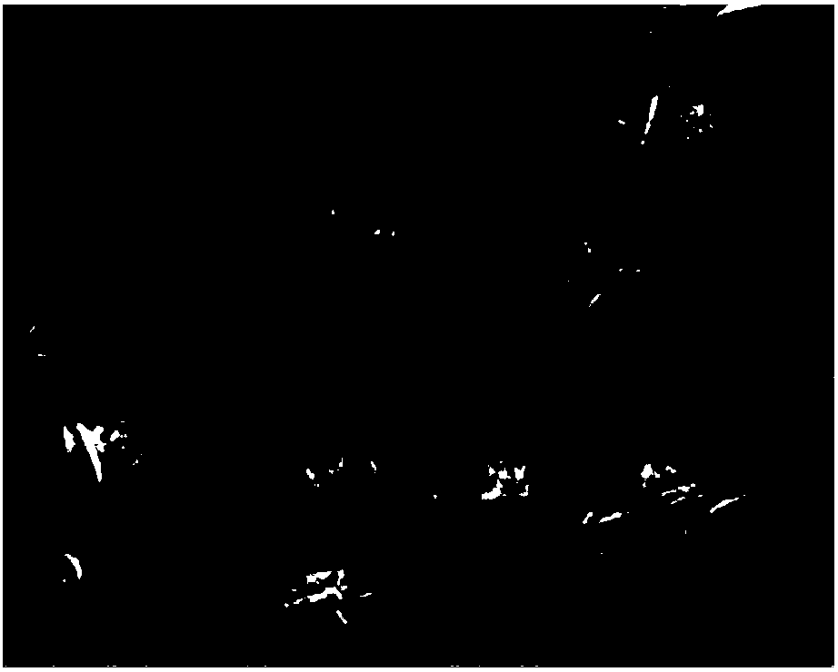 Preparation method of supercapacitor electrode material vanadium sulfide nanoflower