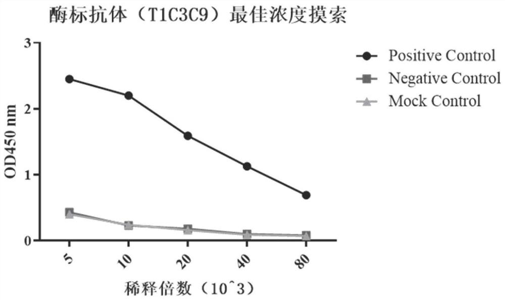 Application of WHsAg monoclonal antibody as ELISA detection reagent