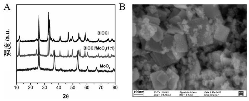 BiOCl/MoO2 composite catalyst as well as preparation method and application thereof