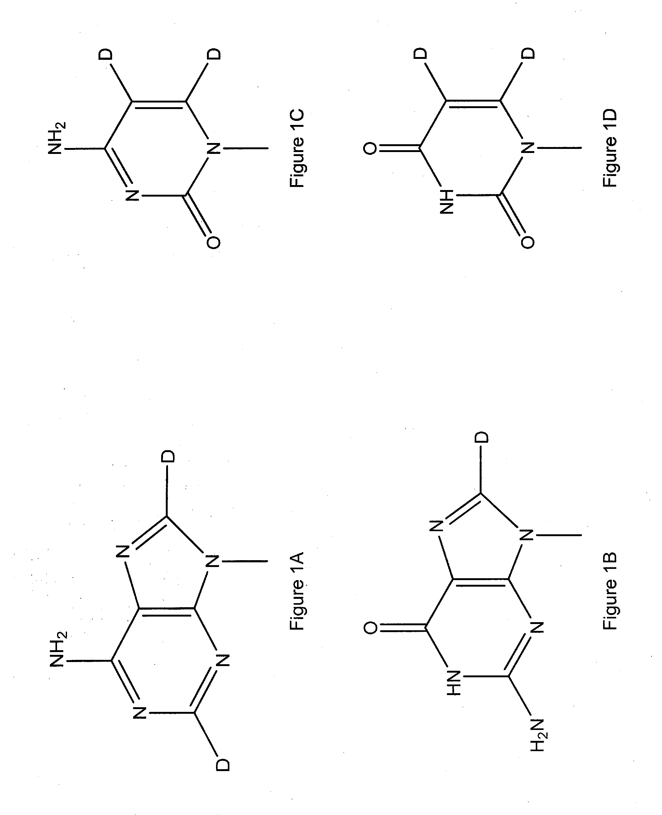 Synthesis of deuterated ribo nucleosides, N-protected phosphoramidites, and oligonucleotides