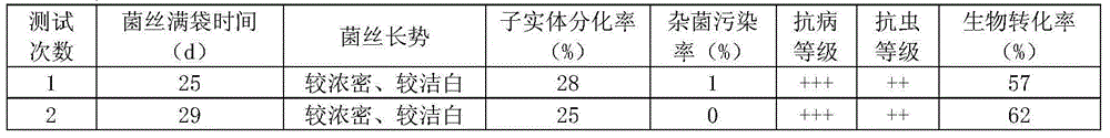 Method for cultivating phoenix mushroom with mulberry twigs