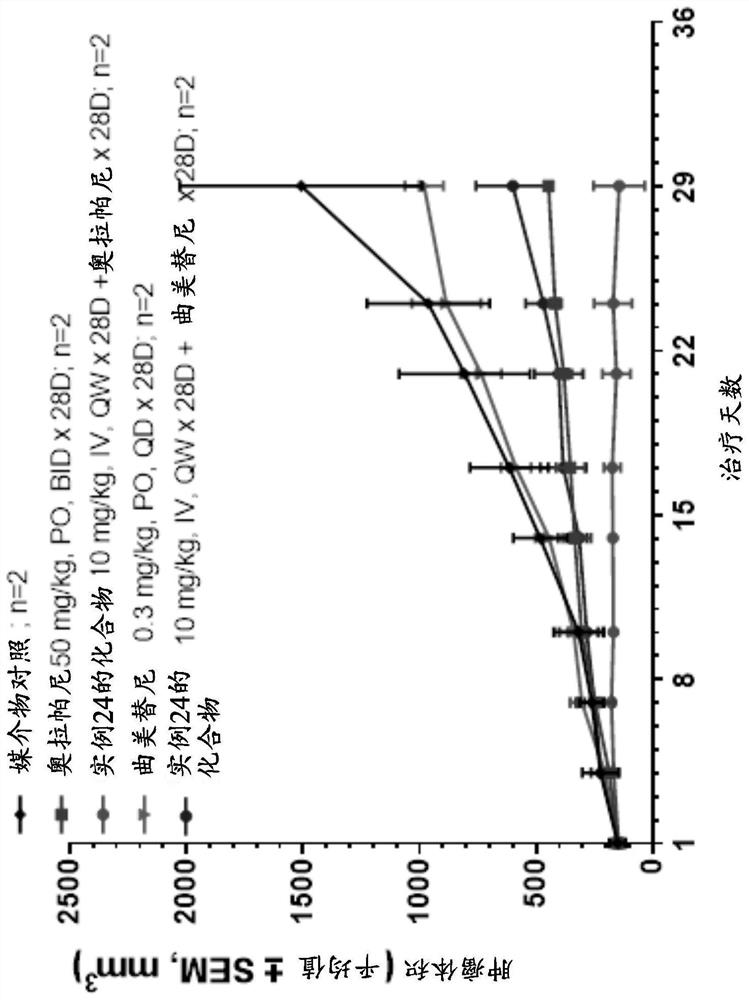 Combination of IAP inhibitors with PARP or MEK inhibitors or other chemotherapeutic agents