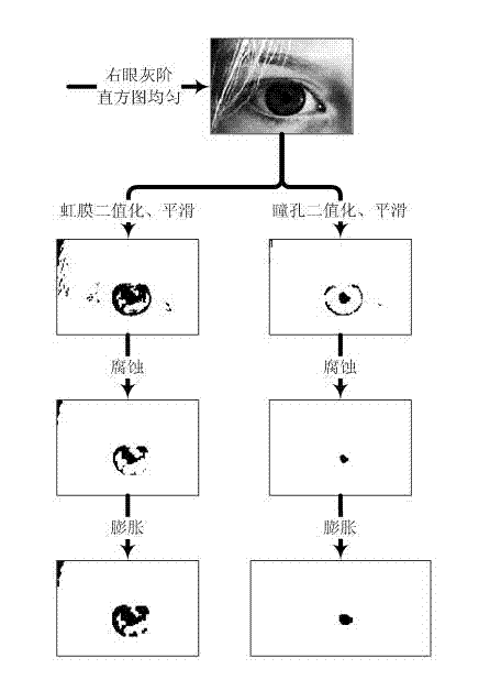 Method for controlling screen luminance of display terminal and display terminal of method