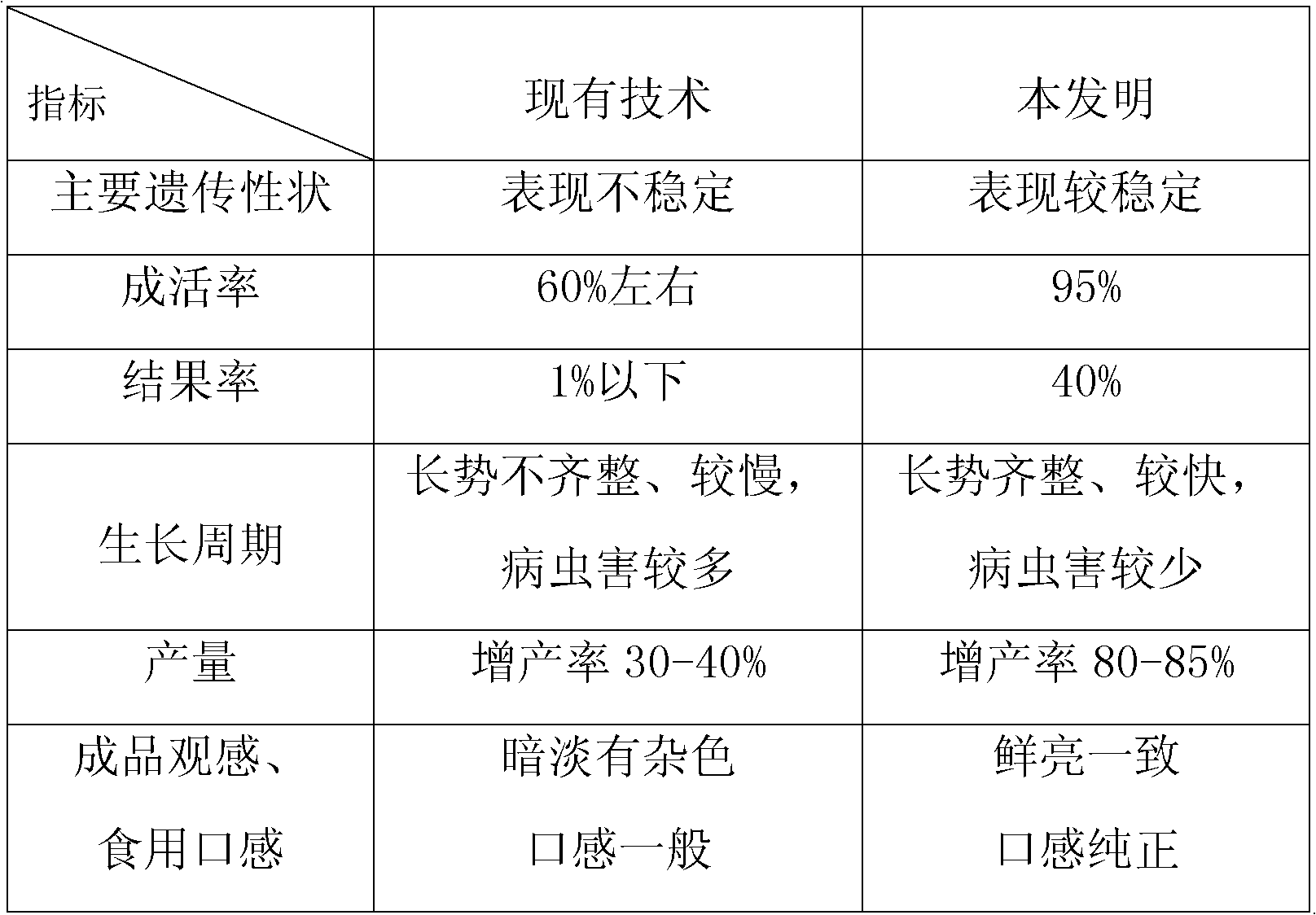 Protecting and artificial feeding method for wild dendrobium candidum stock seeds