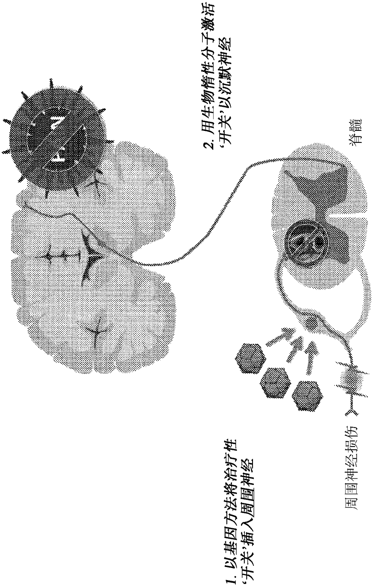 Compositions and methods for treating neurological disorders