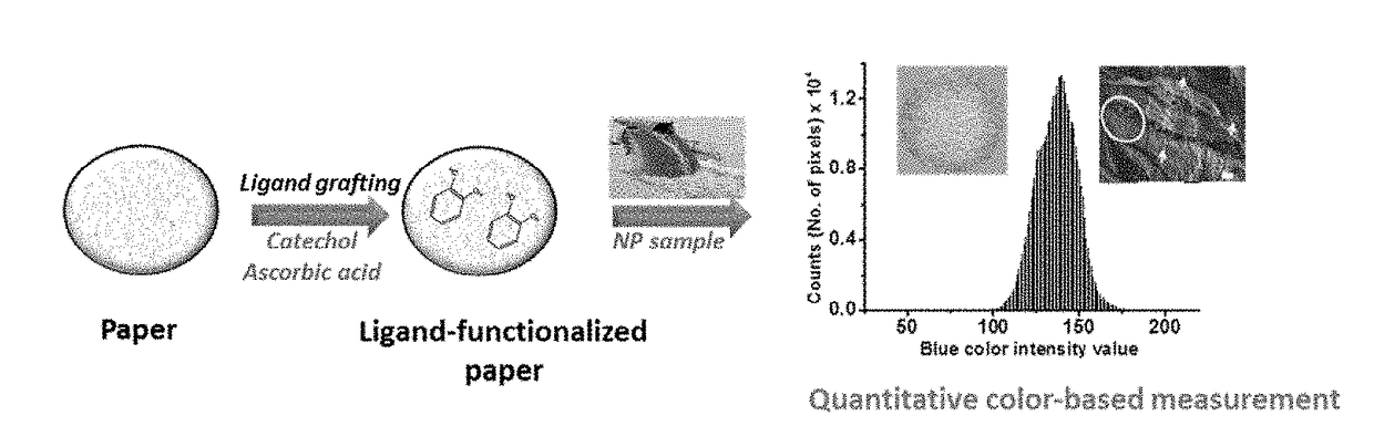 Functional Platform for Rapid Capture and Removal of Nanoparticles
