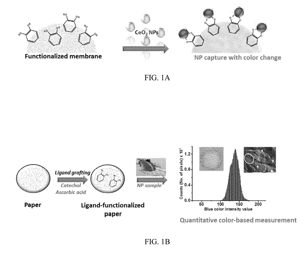 Functional Platform for Rapid Capture and Removal of Nanoparticles
