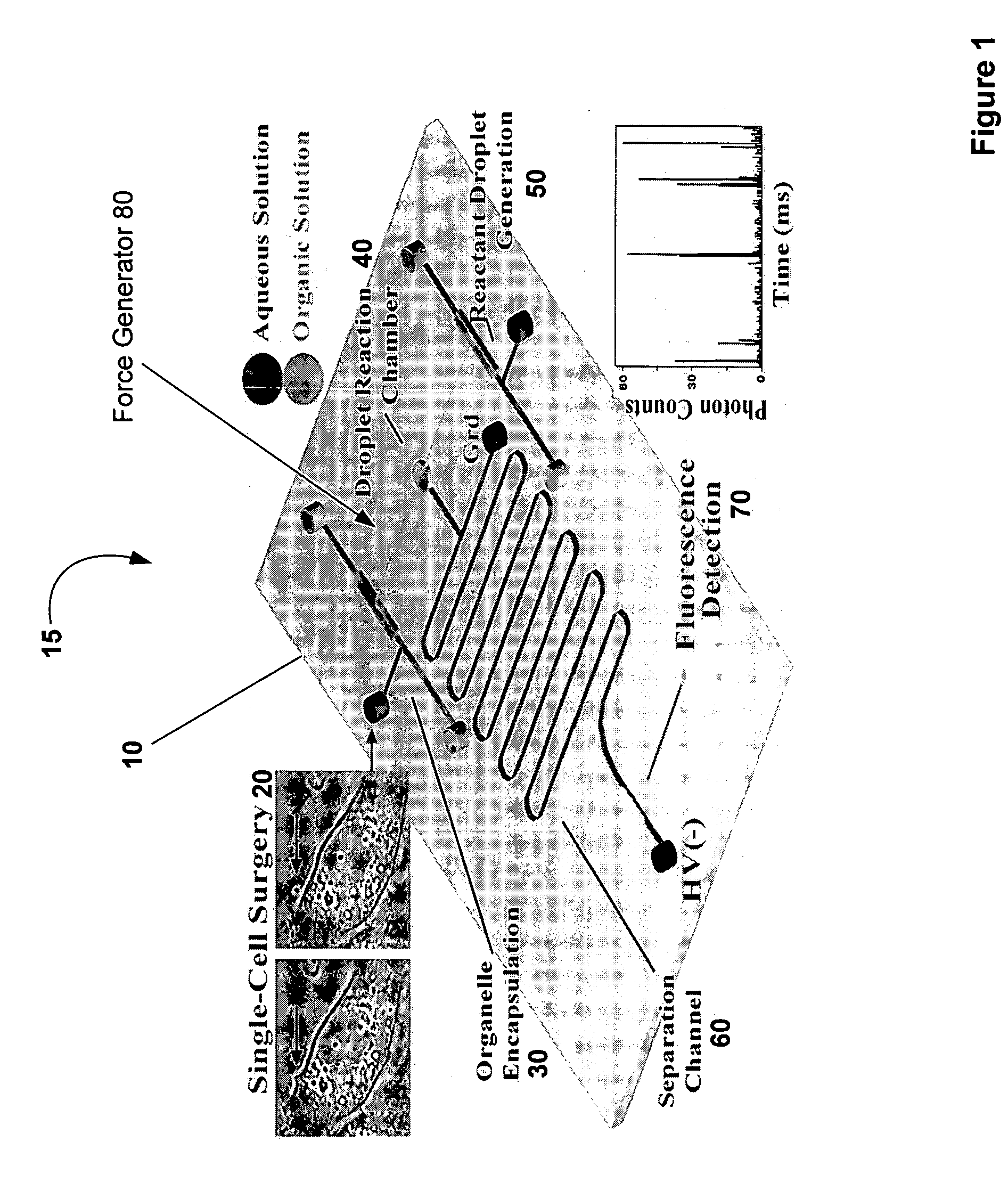 Method and device for biochemical detection and analysis of subcellular compartments from a single cell