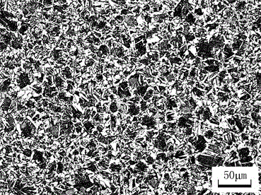 Alkaline corrosion-resistant anchor chain steel and production method thereof