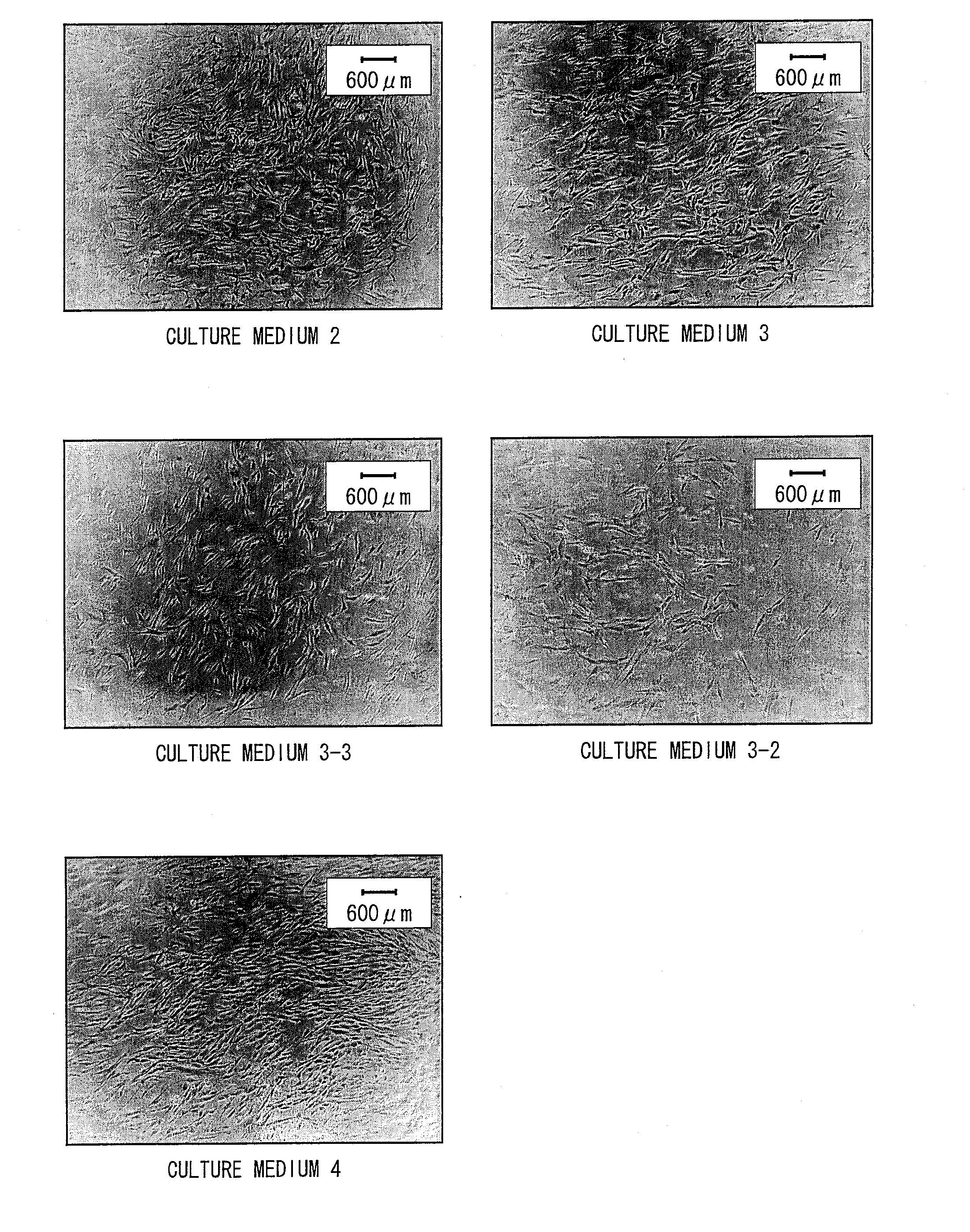 Culture medium additive for use in serum-free culturing of animal cell, kit and use thereof