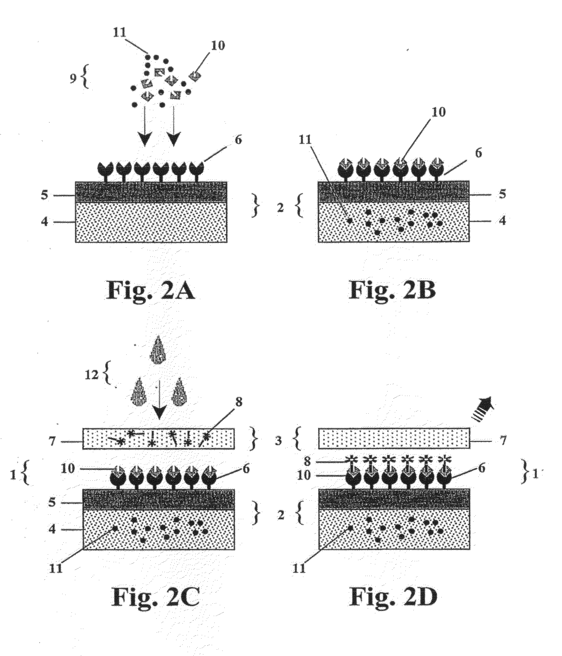 Rapid diagnostic device, assay and multifunctional buffer