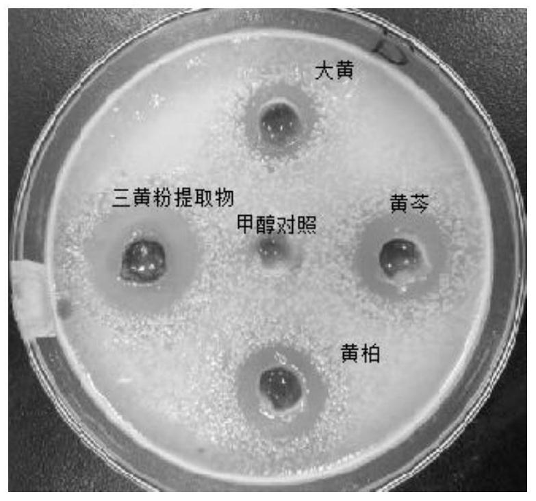 A kind of preparation method and application of natural quorum sensing inhibitor