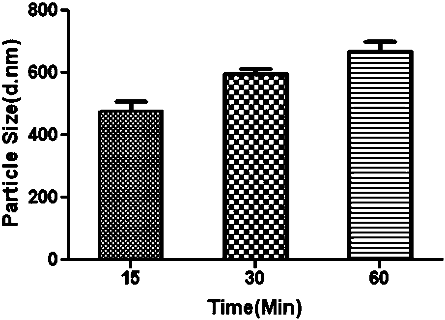 Delivery molecule and nanoparticle, preparation method and application