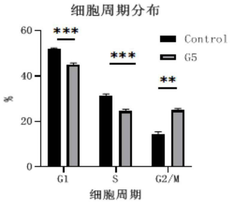 Bmal1 gene mutant cell strain as well as construction method and application thereof