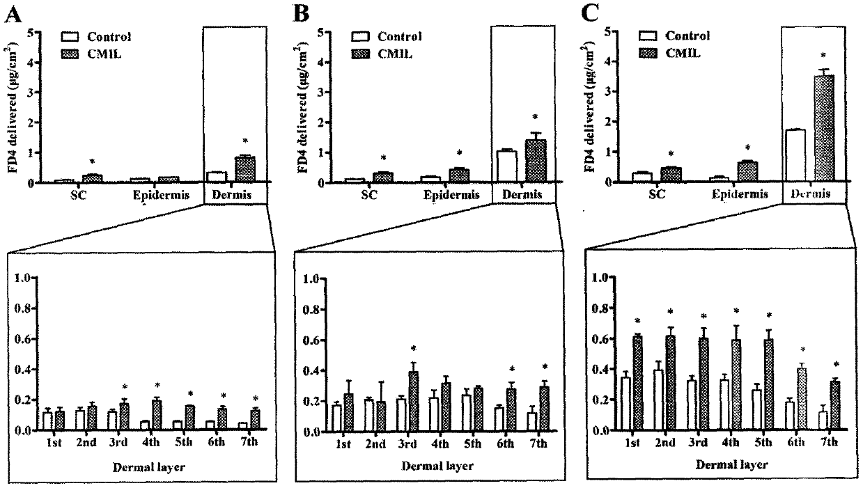 System for promoting permeation of active ingredients into skin