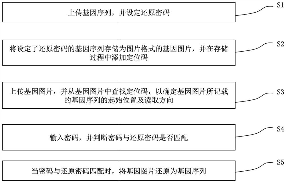 Gene sequence storage and restoration method, computer storage medium and electronic equipment